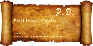 Paulicsek Dávid névjegykártya